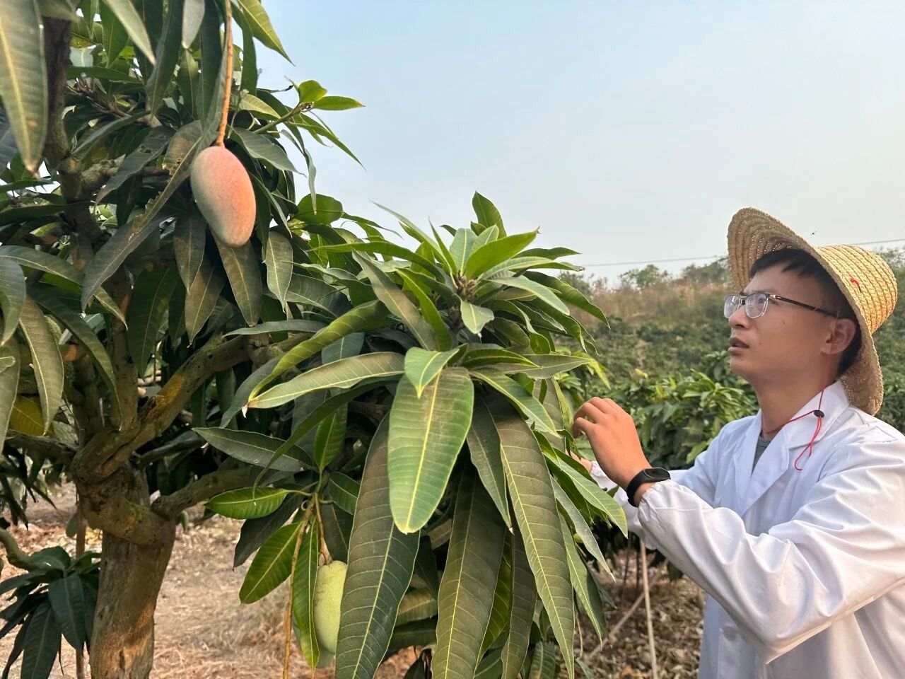晨曦党员说 | 刘家粮：扎根椰岛八载，一名博士生党员的“保鲜”人生